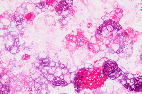 Piešimas muilo burbulais